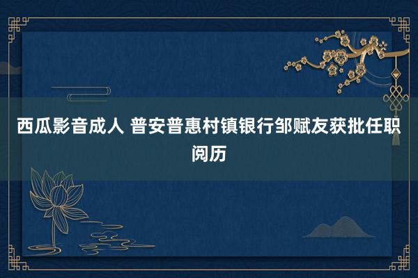 西瓜影音成人 普安普惠村镇银行邹赋友获批任职阅历