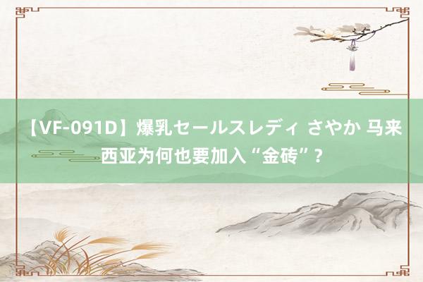 【VF-091D】爆乳セールスレディ さやか 马来西亚为何也要加入“金砖”？