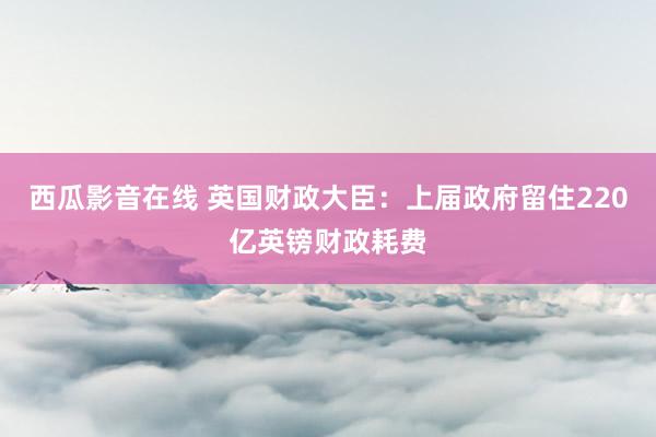 西瓜影音在线 英国财政大臣：上届政府留住220亿英镑财政耗费