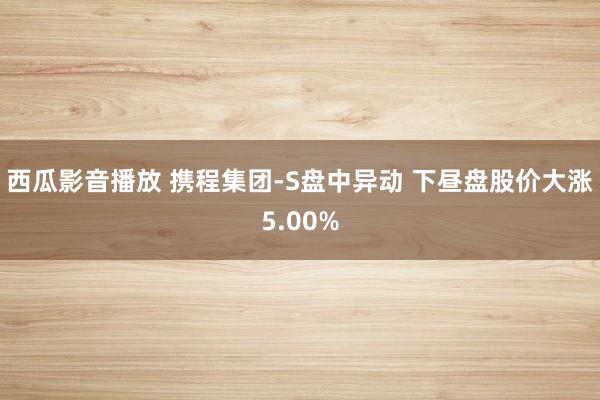 西瓜影音播放 携程集团-S盘中异动 下昼盘股价大涨5.00%