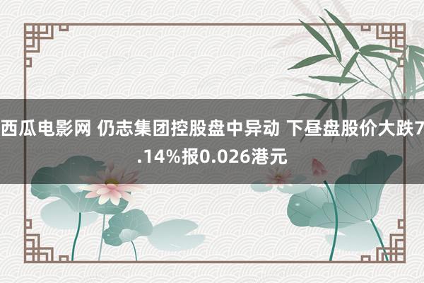 西瓜电影网 仍志集团控股盘中异动 下昼盘股价大跌7.14%报0.026港元