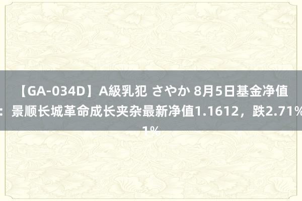 【GA-034D】A級乳犯 さやか 8月5日基金净值：景顺长城革命成长夹杂最新净值1.1612，跌2.71%