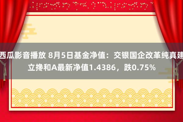 西瓜影音播放 8月5日基金净值：交银国企改革纯真建立搀和A最新净值1.4386，跌0.75%