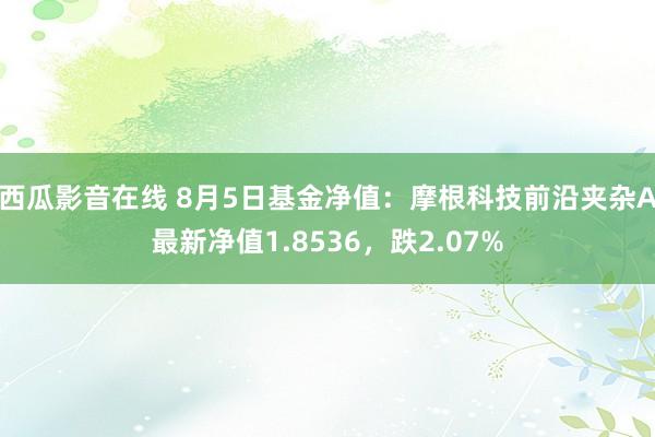 西瓜影音在线 8月5日基金净值：摩根科技前沿夹杂A最新净值1.8536，跌2.07%