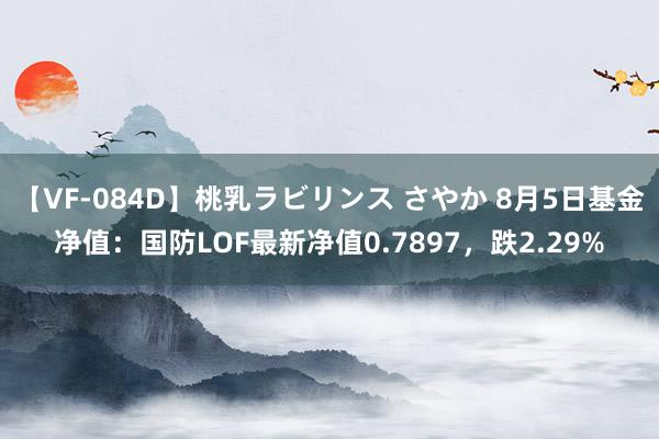 【VF-084D】桃乳ラビリンス さやか 8月5日基金净值：国防LOF最新净值0.7897，跌2.29%