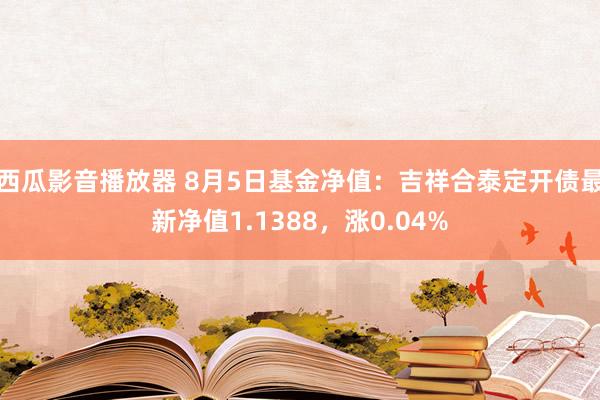 西瓜影音播放器 8月5日基金净值：吉祥合泰定开债最新净值1.1388，涨0.04%