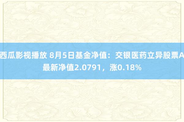 西瓜影视播放 8月5日基金净值：交银医药立异股票A最新净值2.0791，涨0.18%