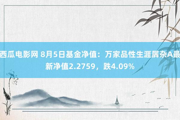 西瓜电影网 8月5日基金净值：万家品性生涯羼杂A最新净值2.2759，跌4.09%