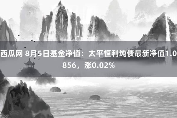 西瓜网 8月5日基金净值：太平恒利纯债最新净值1.0856，涨0.02%