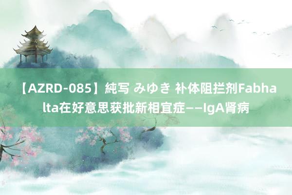 【AZRD-085】純写 みゆき 补体阻拦剂Fabhalta在好意思获批新相宜症——IgA肾病