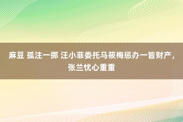 麻豆 孤注一掷 汪小菲委托马筱梅惩办一皆财产，张兰忧心重重