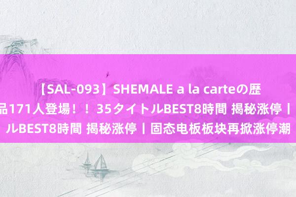 【SAL-093】SHEMALE a la carteの歴史 2008～2011 国内作品171人登場！！35タイトルBEST8時間 揭秘涨停丨固态电板板块再掀涨停潮