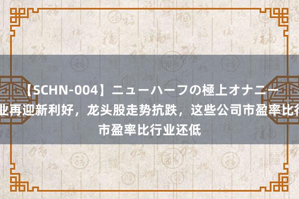 【SCHN-004】ニューハーフの極上オナニー 家电行业再迎新利好，龙头股走势抗跌，这些公司市盈率比行业还低