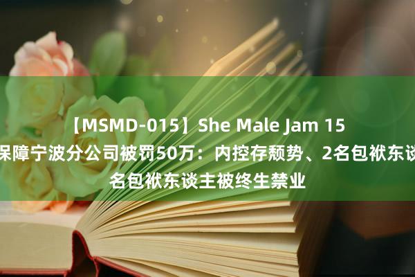 【MSMD-015】She Male Jam 15 中国出口信用保障宁波分公司被罚50万：内控存颓势、2名包袱东谈主被终生禁业