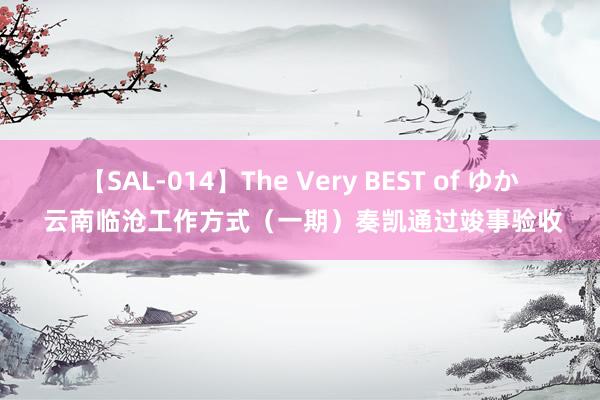 【SAL-014】The Very BEST of ゆか 云南临沧工作方式（一期）奏凯通过竣事验收