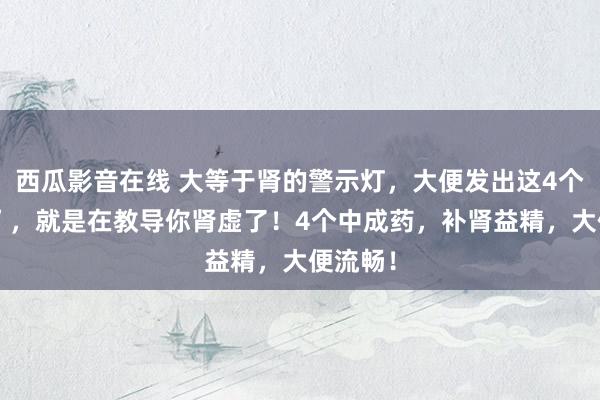 西瓜影音在线 大等于肾的警示灯，大便发出这4个“信号”，就是在教导你肾虚了！4个中成药，补肾益精，大便流畅！