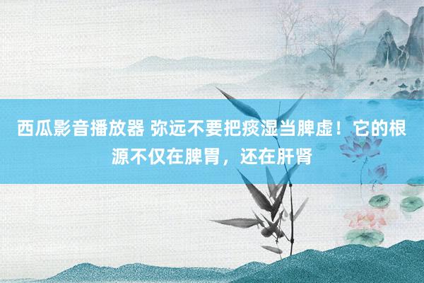 西瓜影音播放器 弥远不要把痰湿当脾虚！它的根源不仅在脾胃，还在肝肾