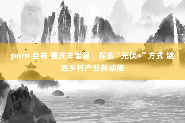 porn 丝袜 重庆丰皆县：探索“光伏+”方式 激活乡村产业新动能