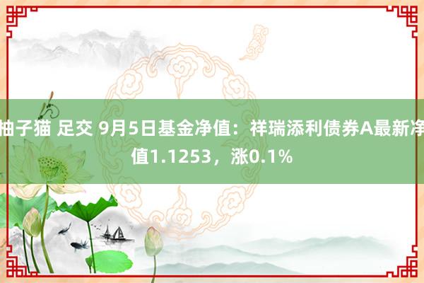 柚子猫 足交 9月5日基金净值：祥瑞添利债券A最新净值1.1253，涨0.1%