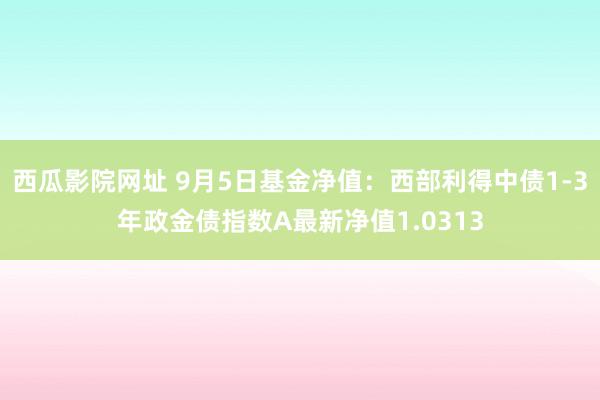 西瓜影院网址 9月5日基金净值：西部利得中债1-3年政金债指数A最新净值1.0313