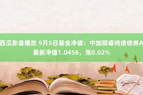 西瓜影音播放 9月5日基金净值：中加颐睿纯债债券A最新净值1.0456，涨0.02%