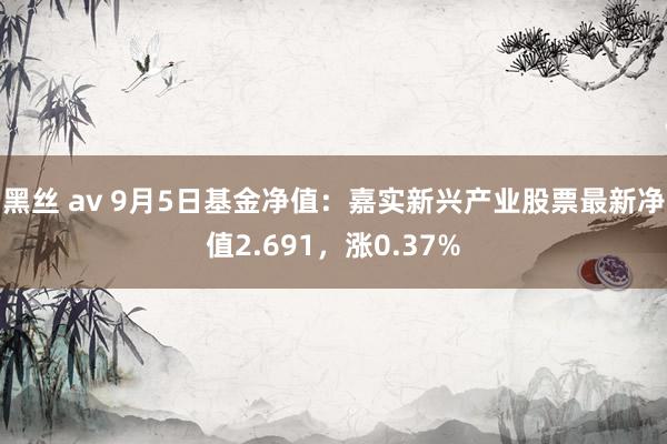 黑丝 av 9月5日基金净值：嘉实新兴产业股票最新净值2.691，涨0.37%