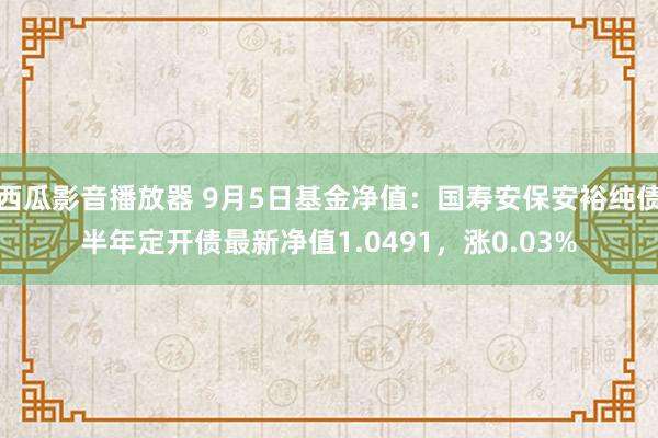 西瓜影音播放器 9月5日基金净值：国寿安保安裕纯债半年定开债最新净值1.0491，涨0.03%