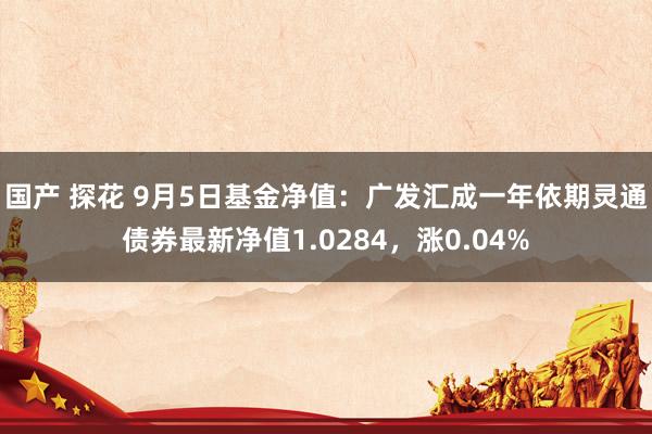 国产 探花 9月5日基金净值：广发汇成一年依期灵通债券最新净值1.0284，涨0.04%