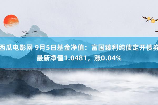 西瓜电影网 9月5日基金净值：富国臻利纯债定开债券最新净值1.0481，涨0.04%