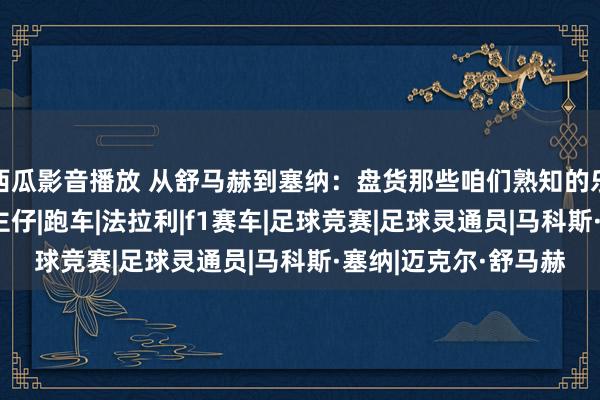 西瓜影音播放 从舒马赫到塞纳：盘货那些咱们熟知的乐高F1赛车手东说念主仔|跑车|法拉利|f1赛车|足球竞赛|足球灵通员|马科斯·塞纳|迈克尔·舒马赫