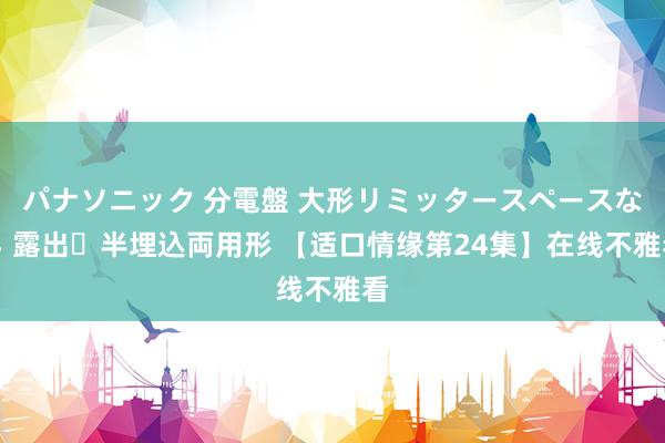 パナソニック 分電盤 大形リミッタースペースなし 露出・半埋込両用形 【适口情缘第24集】在线不雅看