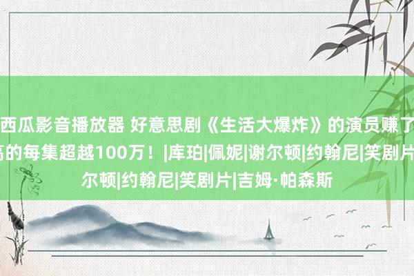 西瓜影音播放器 好意思剧《生活大爆炸》的演员赚了若干钱？最高的每集超越100万！|库珀|佩妮|谢尔顿|约翰尼|笑剧片|吉姆·帕森斯