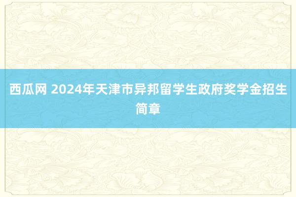 西瓜网 2024年天津市异邦留学生政府奖学金招生简章